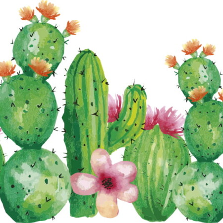 Wandsticker - Boho Kaktus